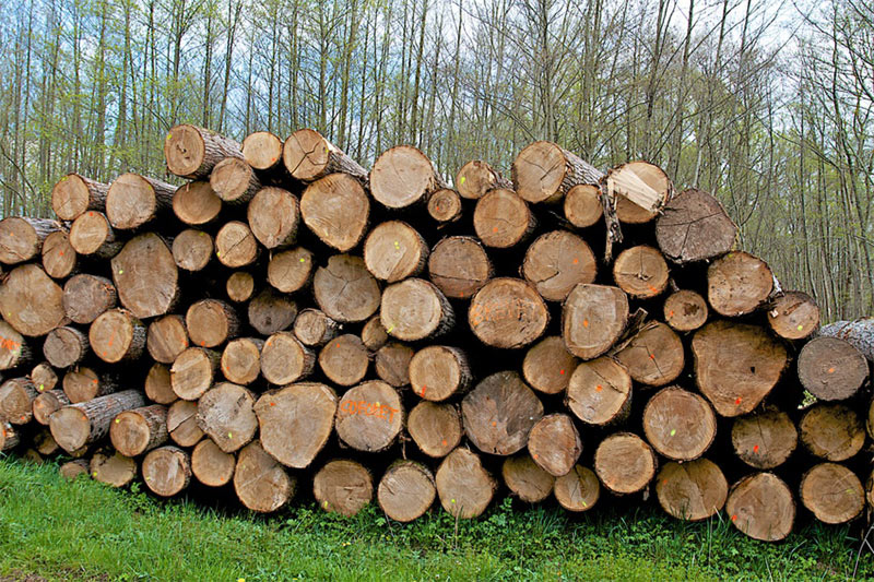 conseil bois de chauffage à Toulon