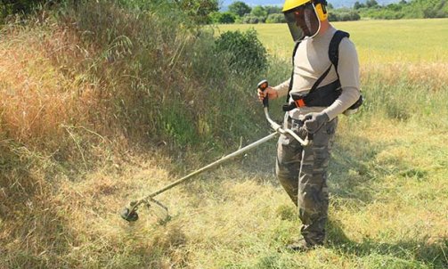 Débroussaillage d'espaces verts - Les Castors à Toulon